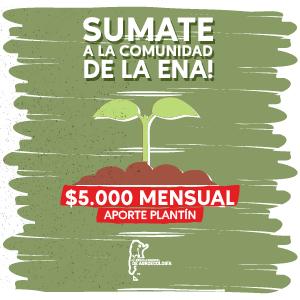 Donación mensual "Plantin"